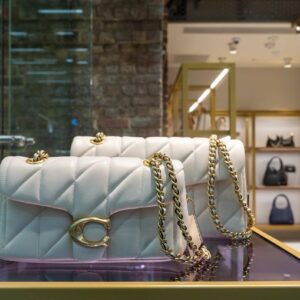 coach bag 4