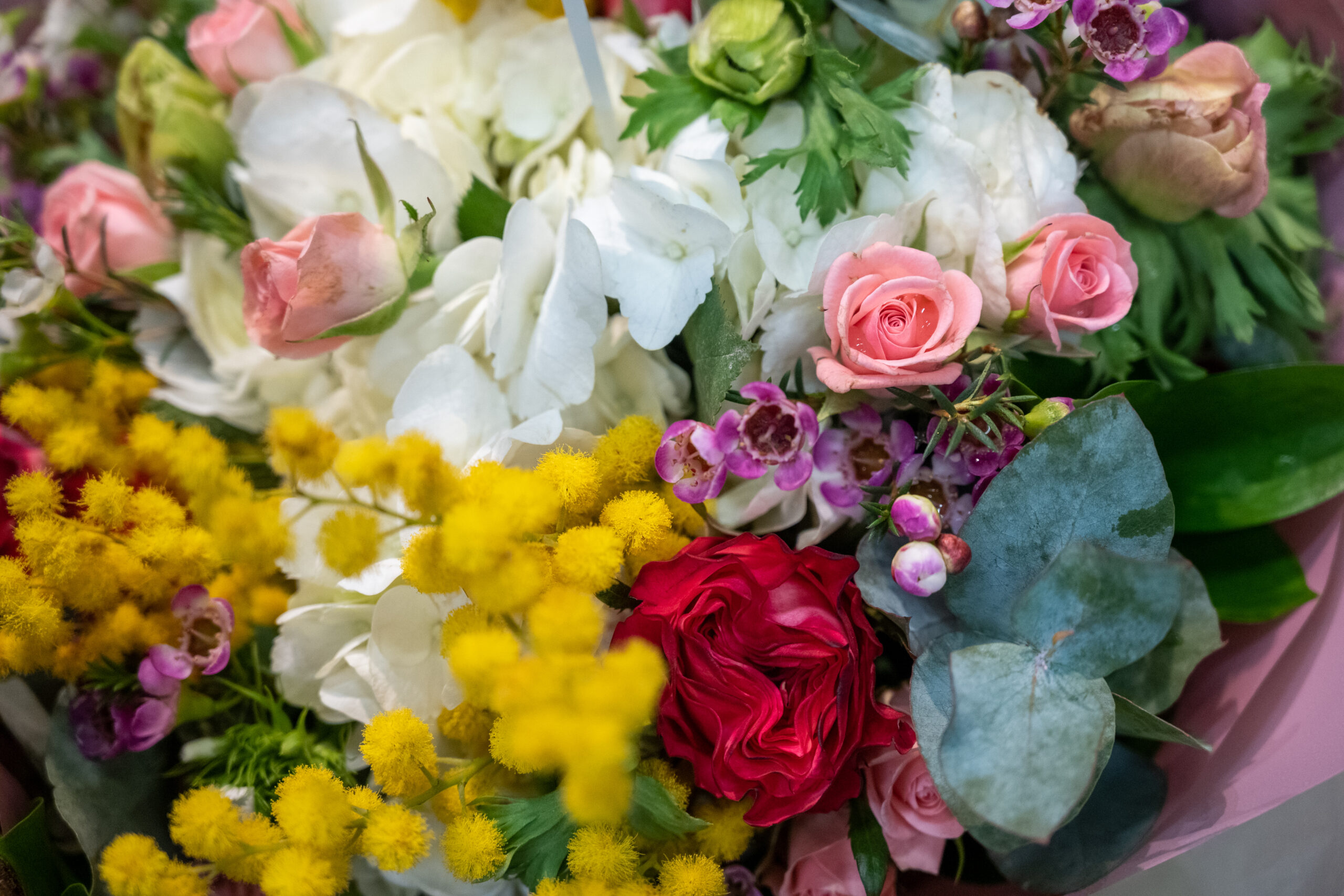 moyses-stevens-mothers-day_007