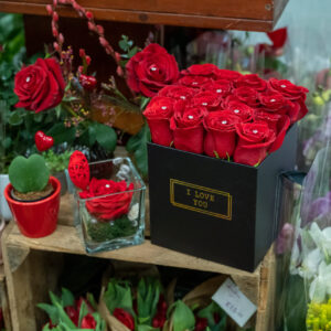 moyses-stevens-valentines-roses-box_011