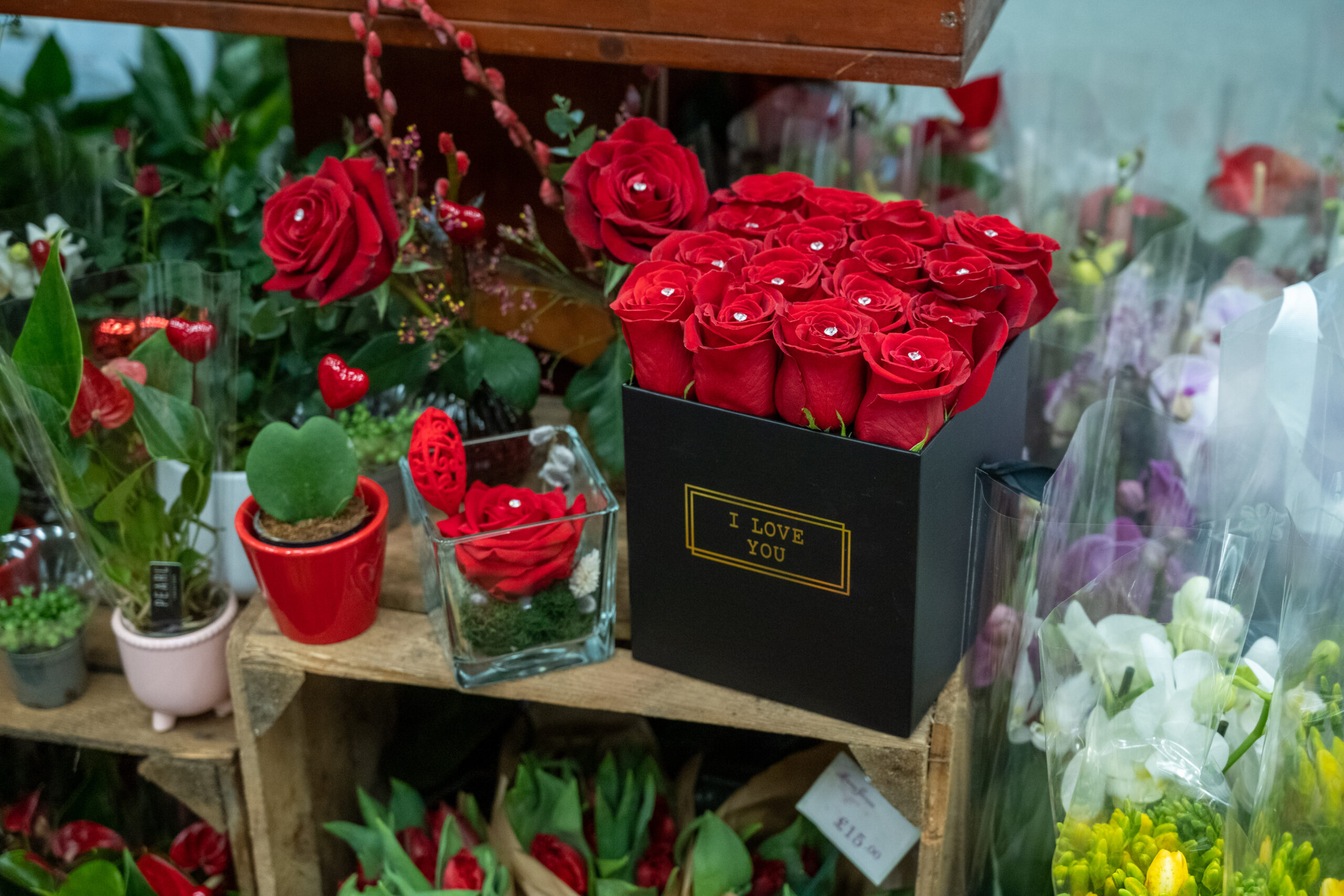 moyses-stevens-valentines-roses-box_011