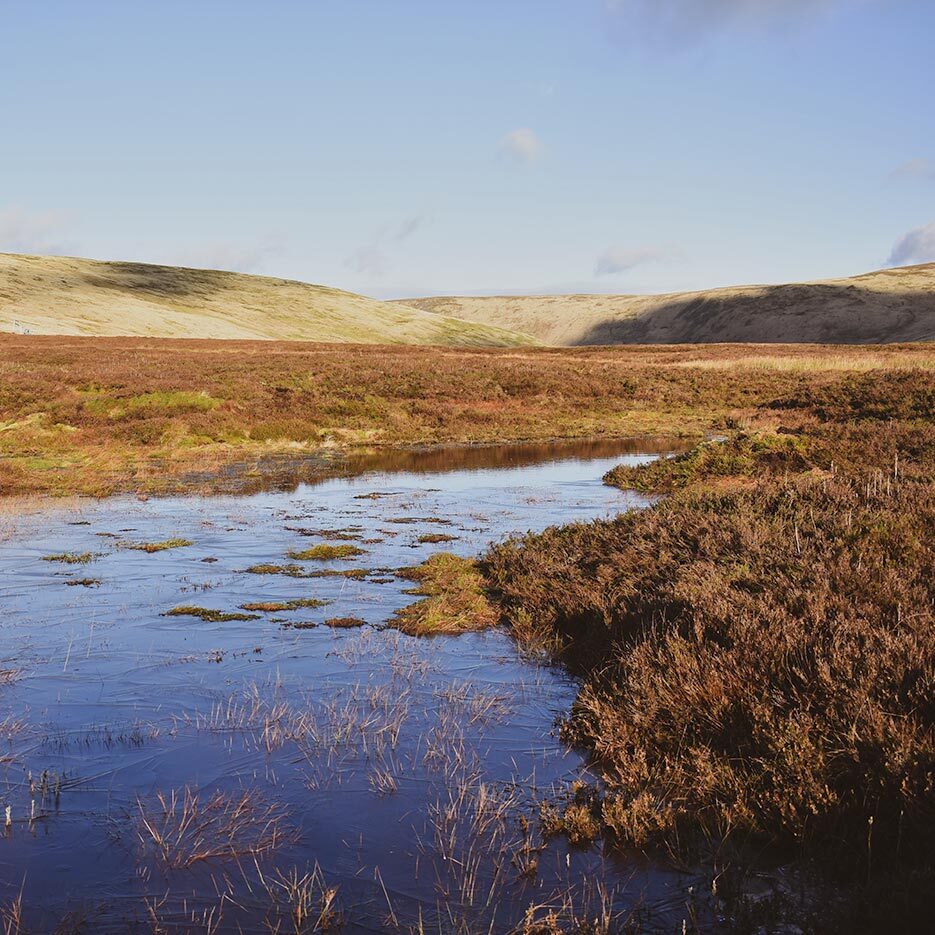 gameshope-peatland-1.jpg