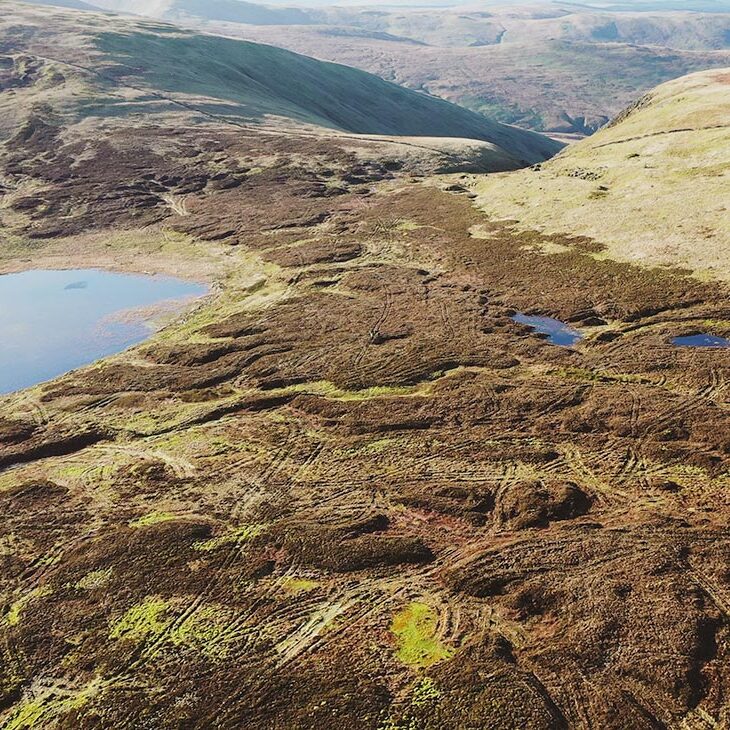 gameshope-peatland-3.jpg
