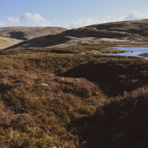 gameshope-peatland-4.jpg
