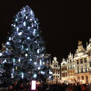 Brussels Christmas Market featured 11