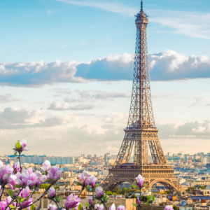 Paris Eiffel Tower Valentines