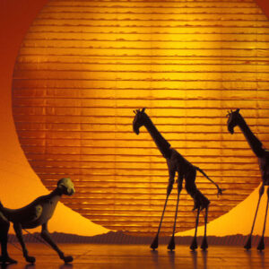 TLK – Circle of Life (Giraffes and Cheetah)