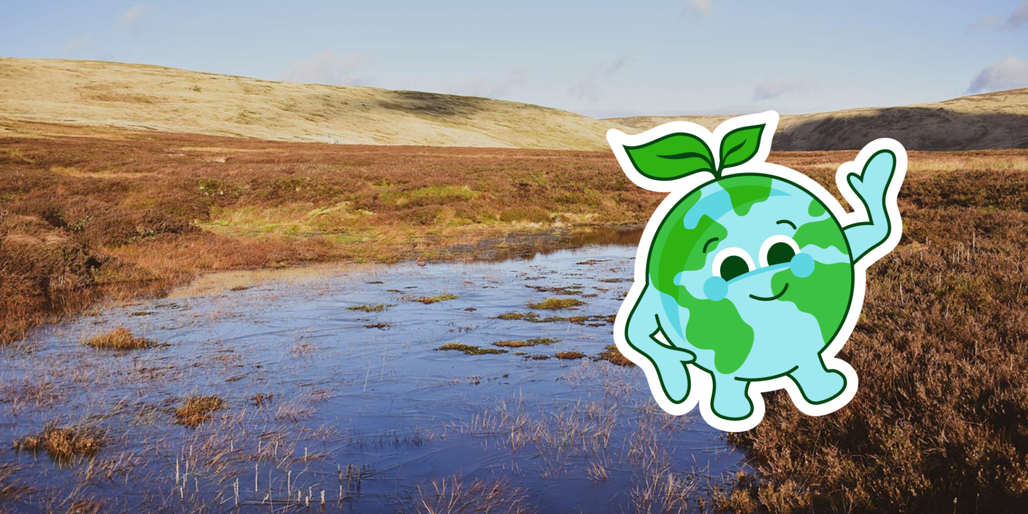 Globey peatland (1)