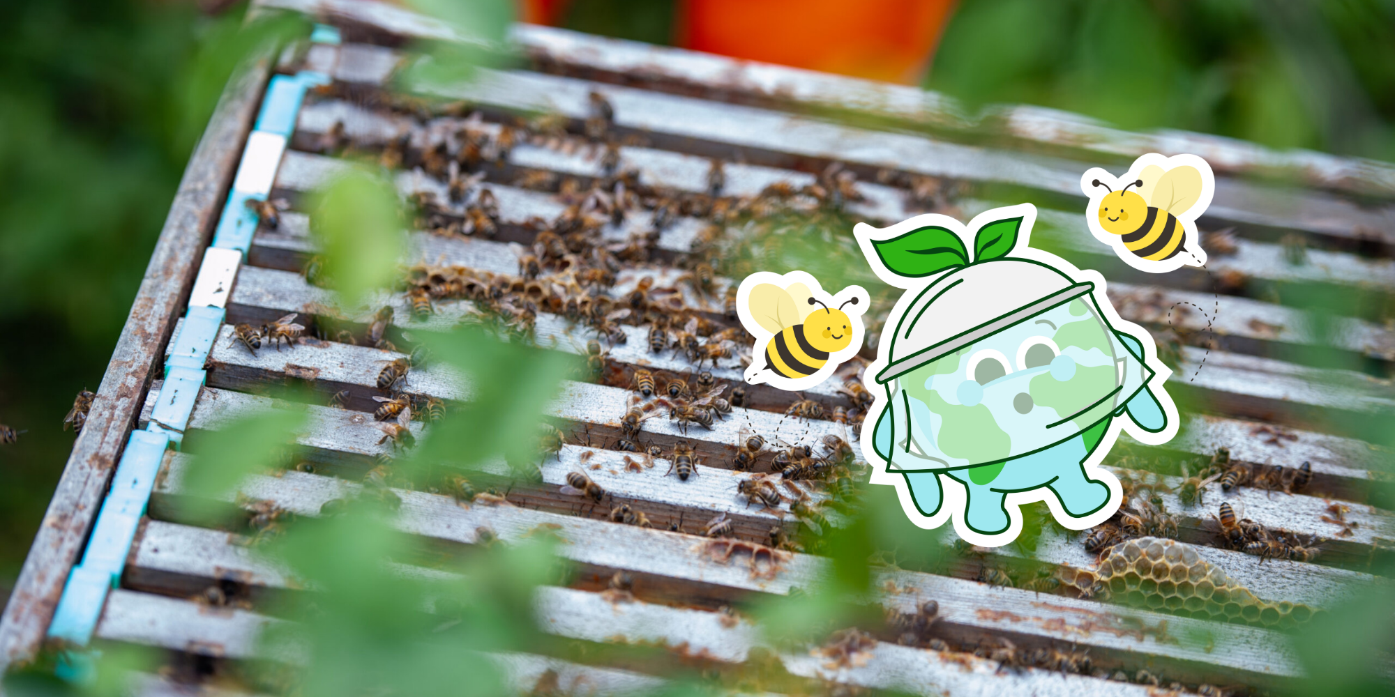 Globey bees
