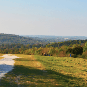 Box Hill